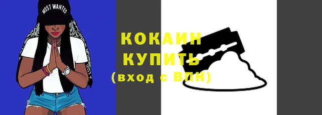 mdpv Гусиноозёрск