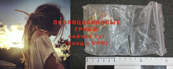 spice Гусев