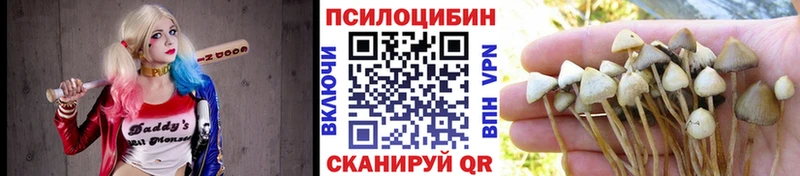 kraken ТОР Ирбит Псилоцибиновые грибы MAGIC MUSHROOMS